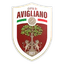 Avigliano Calcio Potenza logo