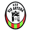 Real Vis Artena logo