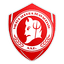Virtus Aurora Travagliato logo