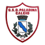 Paladina logo