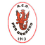 Pro Dronero logo