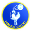 Feriolo Calcio logo