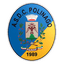 Polinago logo