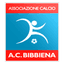 Bibbiena logo