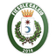 Fiesole Calcio logo