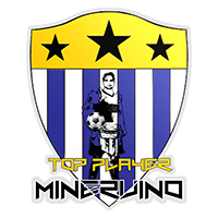 Top Player Minervino