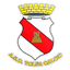Tolfa Calcio logo