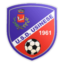 Usinese