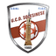 Solesinese logo