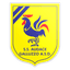Audace Galluzzo Oltrarno logo