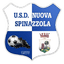 Nuova Spinazzola logo
