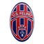 Felino logo