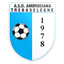 Ambrosiana Trebaseleghe logo