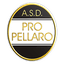 Pro Pellaro logo