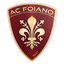 Nuova Foiano logo