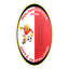 Polisportiva Città di Paliano logo