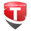 Football Taviano logo