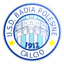 Badia Polesine logo