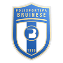 Bruinese