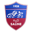 Saline logo
