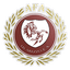 Arezzo Football Academy logo