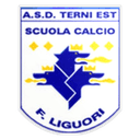 Terni F.C.