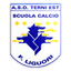 Terni Football Club logo