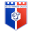 Vianese Calcio logo