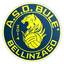 Bulè Bellinzago logo