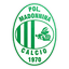 Madonnina Calcio logo