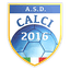 Calci 2016 logo