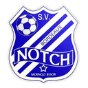 Notch