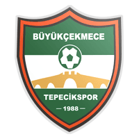 Büyükçekmece Tepecik Spor A.Ş.