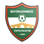 Büyükçekmece Tepecik Spor A.Ş. logo