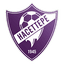 Hacettepe 1945 Spor Kulübü logo