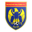 Munxar Falcons FC logo