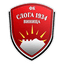 FK Sloga 1934 Vinica logo