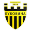 Bukovyna Chernivtsi logo