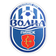 FC Volna Pinsk logo