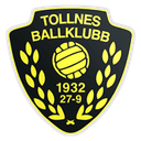 Tollnes