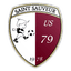 Union Sportive Saint-Sauveur logo