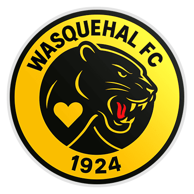 Wasquehal Football