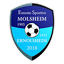 Entente Sportive Molsheim Ernolsheim logo