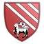 Droylsden logo