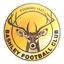 Bashley logo