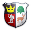 Cinderford Town logo
