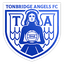 Tonbridge Angels logo