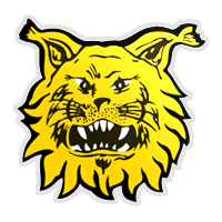 Ilves
