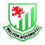 Welton Rovers logo