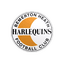 Bemerton Heath Harlequins logo